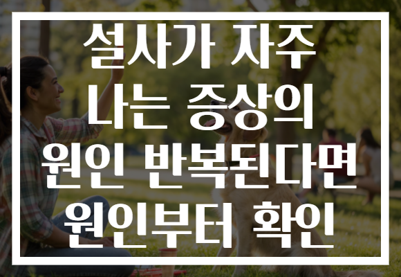 설사가 자주 나는 증상의 원인 반복된다면 원인부터 확인