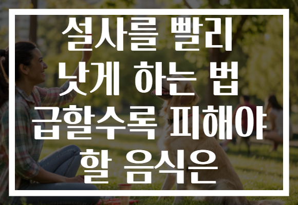 설사를 빨리 낫게 하는 법 급할수록 피해야 할 음식은
