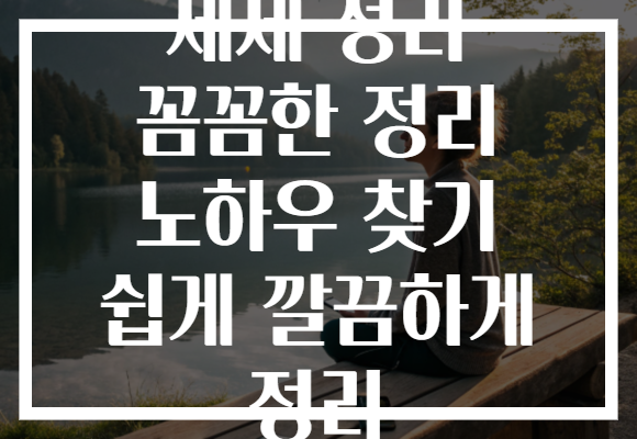 세제 정리 꼼꼼한 정리 노하우 찾기 쉽게 깔끔하게 정리