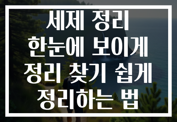 세제 정리 한눈에 보이게 정리 찾기 쉽게 정리하는 법