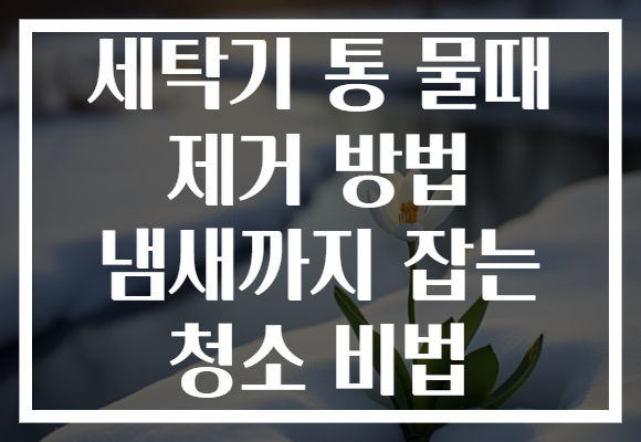 세탁기 통 물때 제거 방법 냄새까지 잡는 청소 비법