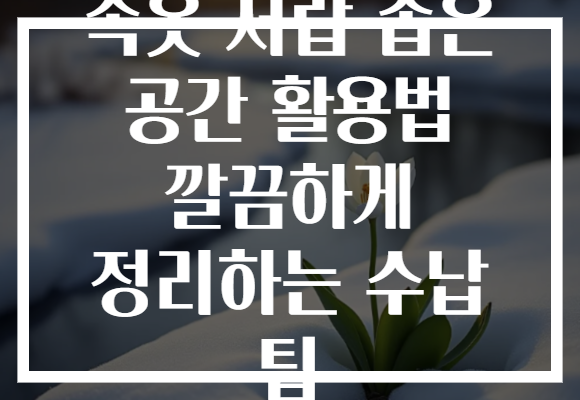 속옷 서랍 좁은 공간 활용법 깔끔하게 정리하는 수납 팁