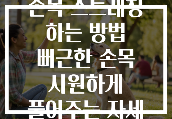 손목 스트레칭 하는 방법 뻐근한 손목 시원하게 풀어주는 자세