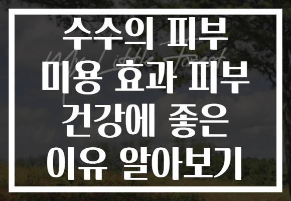 수수의 피부 미용 효과 피부 건강에 좋은 이유 알아보기