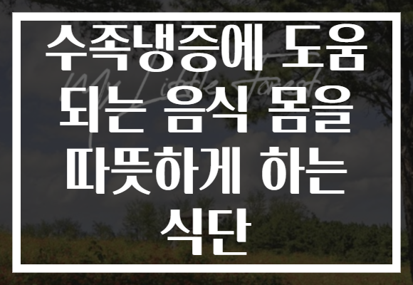 수족냉증에 도움 되는 음식 몸을 따뜻하게 하는 식단