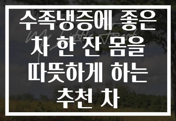 수족냉증에 좋은 차 한 잔 몸을 따뜻하게 하는 추천 차