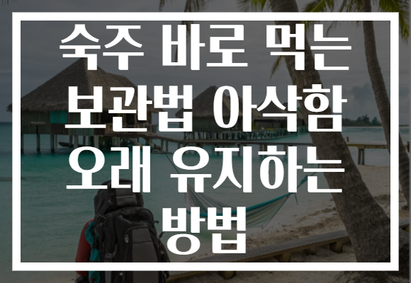 숙주 바로 먹는 보관법 아삭함 오래 유지하는 방법