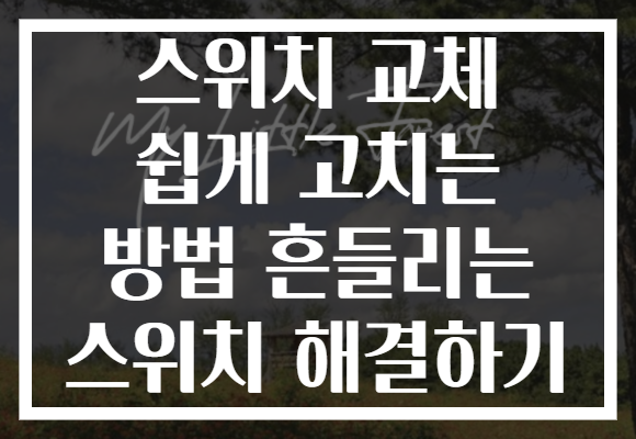 스위치 교체 쉽게 고치는 방법 흔들리는 스위치 해결하기