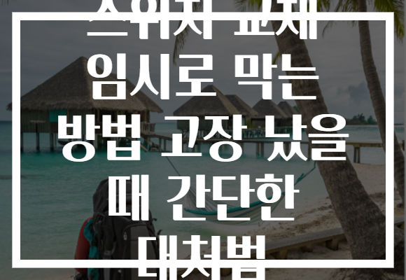 스위치 교체 임시로 막는 방법 고장 났을 때 간단한 대처법
