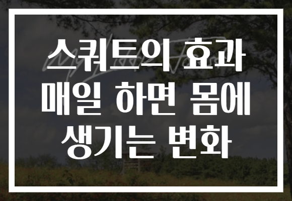 스쿼트의 효과 매일 하면 몸에 생기는 변화