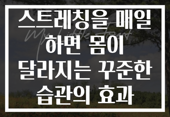 스트레칭을 매일 하면 몸이 달라지는 꾸준한 습관의 효과