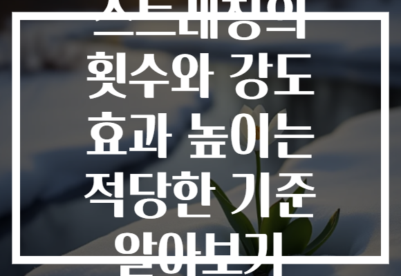 스트레칭의 횟수와 강도 효과 높이는 적당한 기준 알아보기