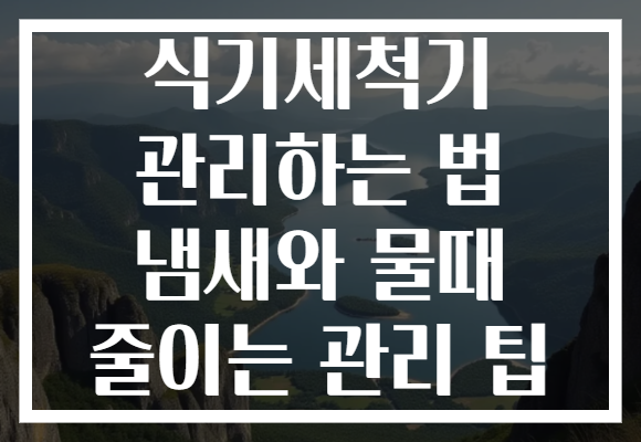 식기세척기 관리하는 법 냄새와 물때 줄이는 관리 팁