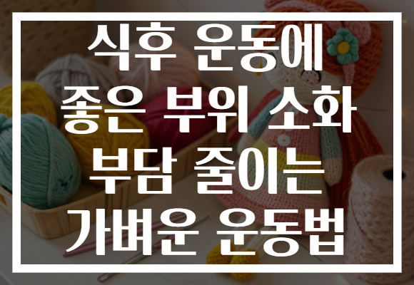식후 운동에 좋은 부위 소화 부담 줄이는 가벼운 운동법