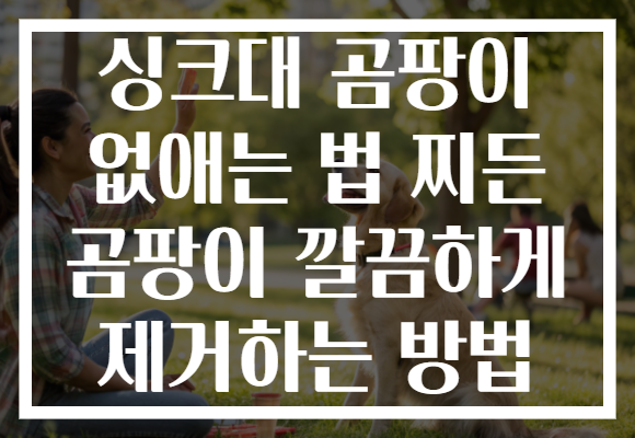싱크대 곰팡이 없애는 법 찌든 곰팡이 깔끔하게 제거하는 방법