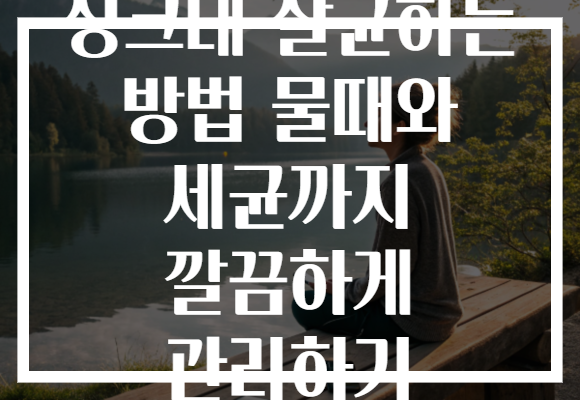 싱크대 살균하는 방법 물때와 세균까지 깔끔하게 관리하기