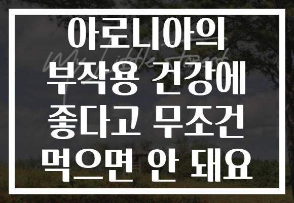 아로니아의 부작용 건강에 좋다고 무조건 먹으면 안 돼요
