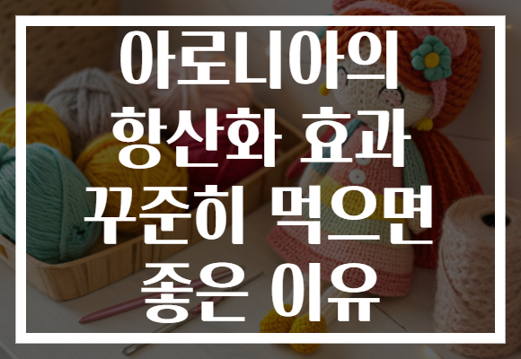 아로니아의 항산화 효과 꾸준히 먹으면 좋은 이유