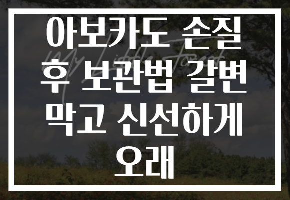 아보카도 손질 후 보관법 갈변 막고 신선하게 오래