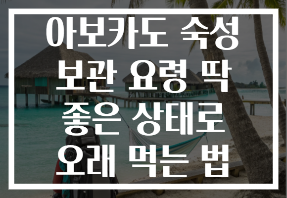 아보카도 숙성 보관 요령 딱 좋은 상태로 오래 먹는 법