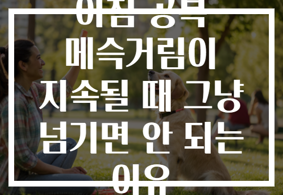 아침 공복 메슥거림이 지속될 때 그냥 넘기면 안 되는 이유