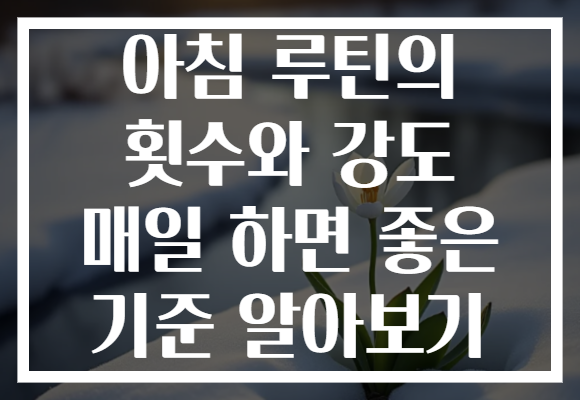 아침 루틴의 횟수와 강도 매일 하면 좋은 기준 알아보기