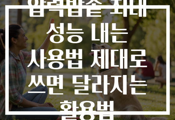 압력밥솥 최대 성능 내는 사용법 제대로 쓰면 달라지는 활용법
