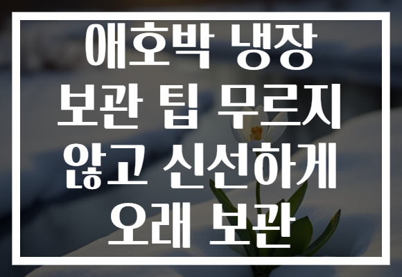 애호박 냉장 보관 팁 무르지 않고 신선하게 오래 보관