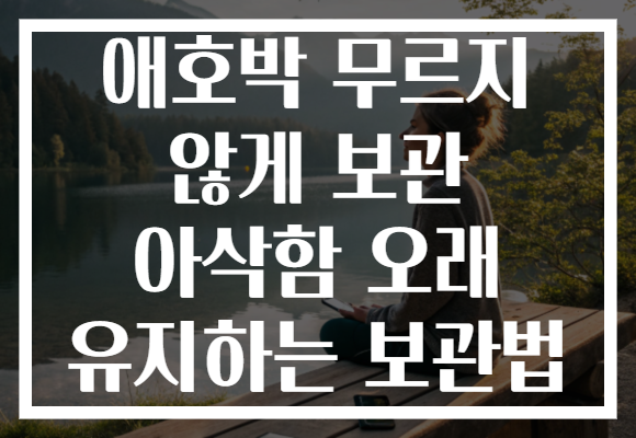 애호박 무르지 않게 보관 아삭함 오래 유지하는 보관법