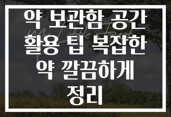 약 보관함 공간 활용 팁 복잡한 약 깔끔하게 정리