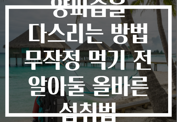 양파즙을 다스리는 방법 무작정 먹기 전 알아둘 올바른 섭취법