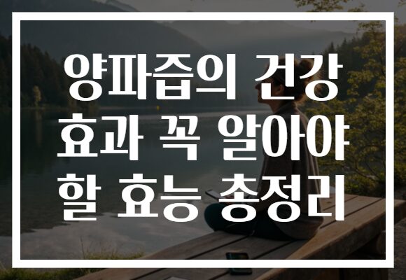 양파즙의 건강 효과 꼭 알아야 할 효능 총정리