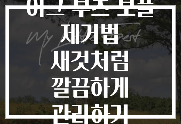 어그 부츠 보풀 제거법 새것처럼 깔끔하게 관리하기
