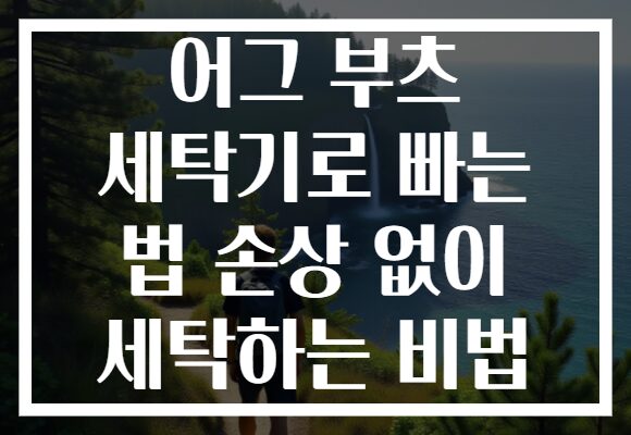 어그 부츠 세탁기로 빠는 법 손상 없이 세탁하는 비법
