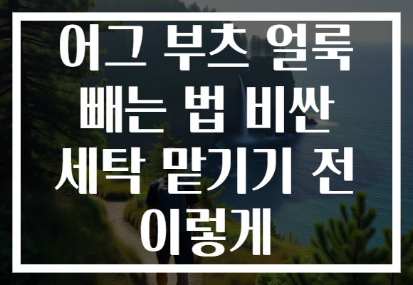 어그 부츠 얼룩 빼는 법 비싼 세탁 맡기기 전 이렇게