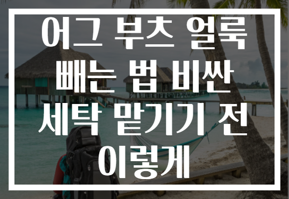 어그 부츠 얼룩 빼는 법 비싼 세탁 맡기기 전 이렇게
