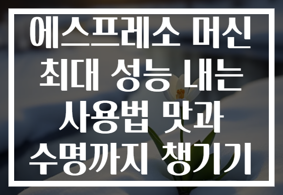 에스프레소 머신 최대 성능 내는 사용법 맛과 수명까지 챙기기