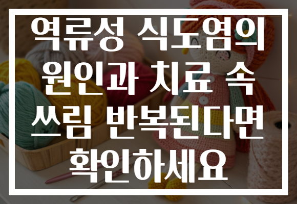 역류성 식도염의 원인과 치료 속 쓰림 반복된다면 확인하세요