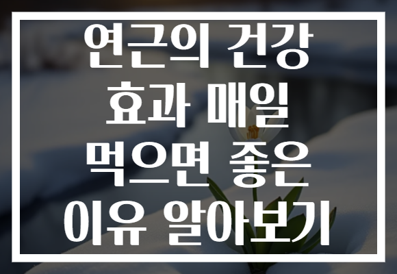 연근의 건강 효과 매일 먹으면 좋은 이유 알아보기