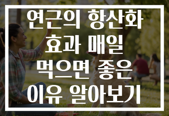 연근의 항산화 효과 매일 먹으면 좋은 이유 알아보기