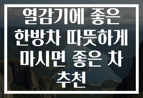 열감기에 좋은 한방차 따뜻하게 마시면 좋은 차 추천