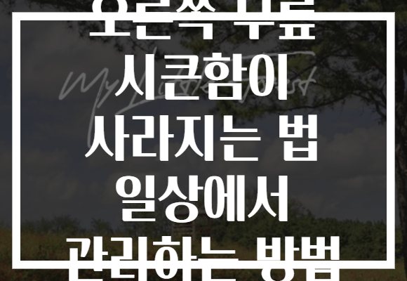 오른쪽 무릎 시큰함이 사라지는 법 일상에서 관리하는 방법