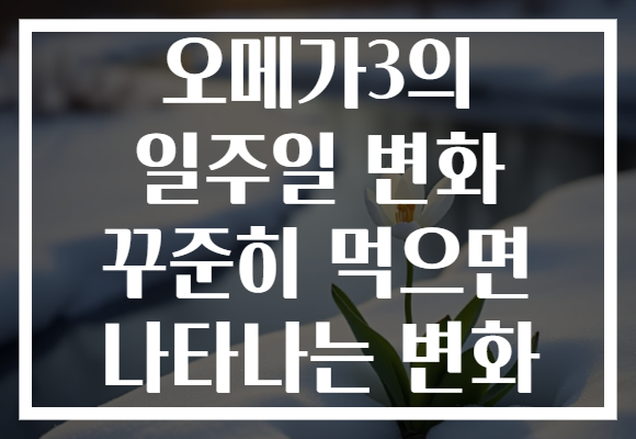 오메가3의 일주일 변화 꾸준히 먹으면 나타나는 변화