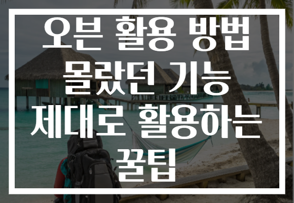 오븐 활용 방법 몰랐던 기능 제대로 활용하는 꿀팁