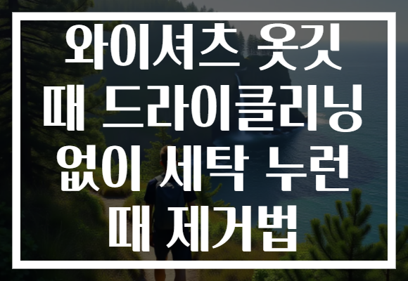 와이셔츠 옷깃 때 드라이클리닝 없이 세탁 누런 때 제거법