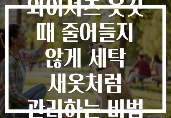 와이셔츠 옷깃 때 줄어들지 않게 세탁 새옷처럼 관리하는 비법