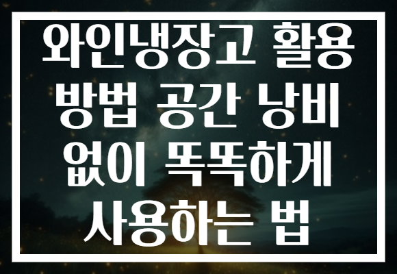 와인냉장고 활용 방법 공간 낭비 없이 똑똑하게 사용하는 법