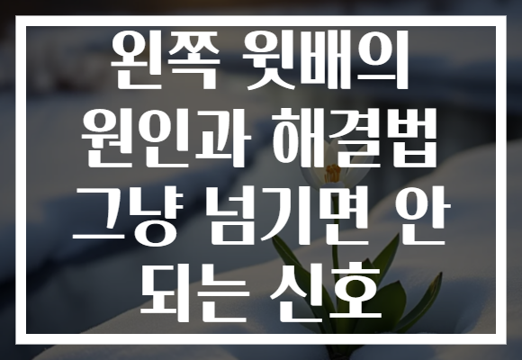 왼쪽 윗배의 원인과 해결법 그냥 넘기면 안 되는 신호