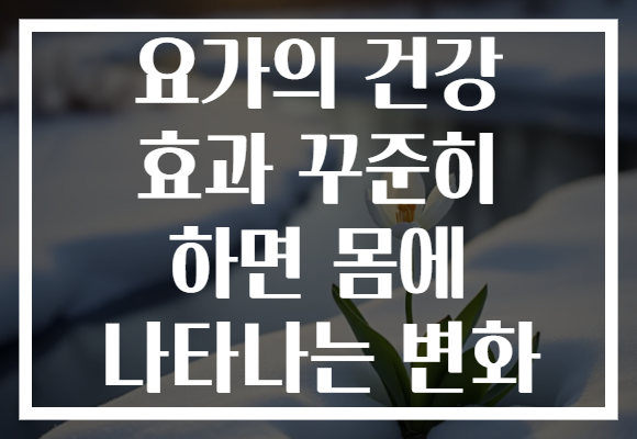 요가의 건강 효과 꾸준히 하면 몸에 나타나는 변화