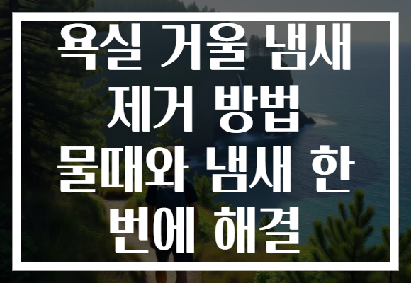 욕실 거울 냄새 제거 방법 물때와 냄새 한 번에 해결